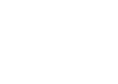 Schott